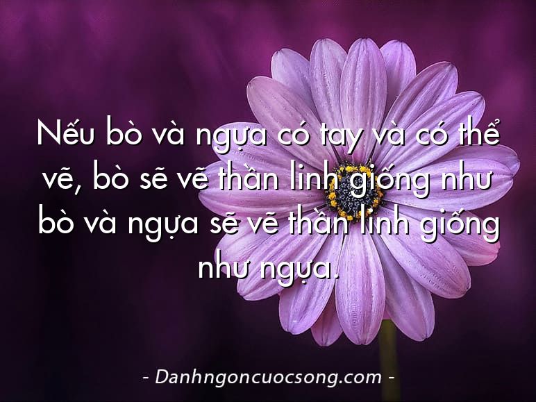 Nếu bò và ngựa có tay và có thể vẽ, bò sẽ vẽ thần linh giống như bò và ngựa sẽ vẽ thần linh giống như ngựa.