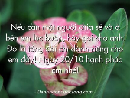Nếu cần một người chia sẻ và ở bên em lúc buồn, hãy gọi cho anh. Đó là tổng đài chỉ dành riêng cho em đấy! Ngày 20/10 hạnh phúc em nhé!