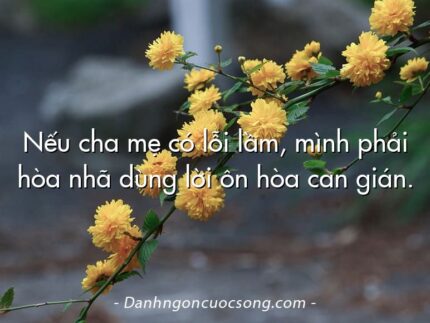 Nếu cha mẹ có lỗi lầm, mình phải hòa nhã dùng lời ôn hòa can gián.
