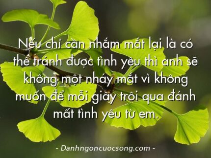 Nếu chỉ cần nhắm mắt lại là có thể tránh được tình yêu thì anh sẽ không một nháy mắt vì không muốn để mỗi giây trôi qua đánh mất tình yêu từ em.