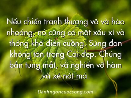 Nếu chiến tranh thượng võ và hào nhoáng, nó cũng có mặt xấu xí và thống khổ điên cuồng. Súng đạn không tôn trọng Cái đẹp. Chúng bắn tung mắt, và nghiến vỡ hàm và xé nát má.