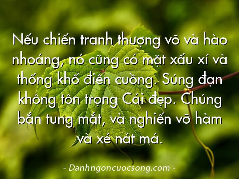 Nếu chiến tranh thượng võ và hào nhoáng, nó cũng có mặt xấu xí và thống khổ điên cuồng. Súng đạn không tôn trọng Cái đẹp. Chúng bắn tung mắt, và nghiến vỡ hàm và xé nát má.