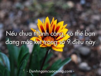 Nếu chưa thành công, có thể bạn đang mắc kẹt trong số 9 điều này