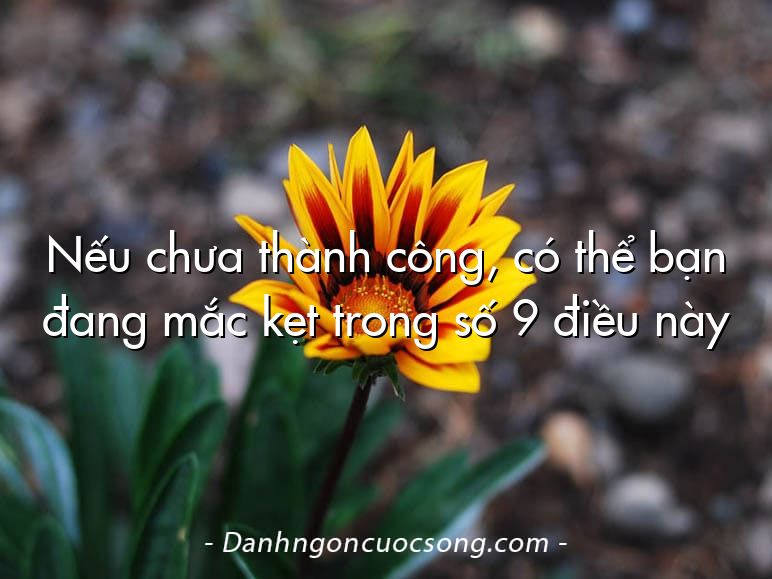 Nếu chưa thành công, có thể bạn đang mắc kẹt trong số 9 điều này