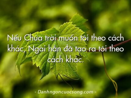 Nếu Chúa trời muốn tôi theo cách khác, Ngài hẳn đã tạo ra tôi theo cách khác.