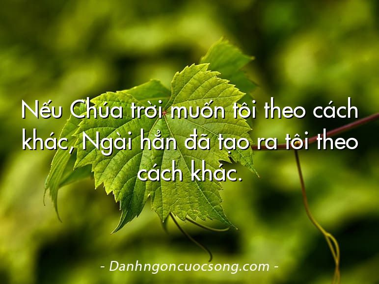 Nếu Chúa trời muốn tôi theo cách khác, Ngài hẳn đã tạo ra tôi theo cách khác.