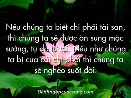 Nếu chúng ta biết chi phối tài sản, thì chúng ta sẽ được ăn sung mặc sướng, tự do tự tại. Nếu như chúng ta bị của cải chi phối thì chúng ta sẽ nghèo suốt đời.