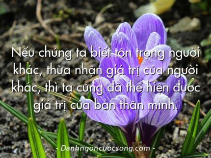 Nếu chúng ta biết tôn trọng người khác, thừa nhận giá trị của người khác, thì ta cũng đã thể hiện được giá trị của bản thân mình.