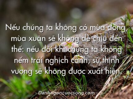 Nếu chúng ta không có mùa đông, mùa xuân sẽ không dễ chịu đến thế: nếu đôi khi chúng ta không nếm trải nghịch cảnh, sự thịnh vượng sẽ không được xuất hiện.