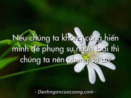 Nếu chúng ta không cống hiến mình để phụng sự nhân loại thì chúng ta nên phụng sự ai?