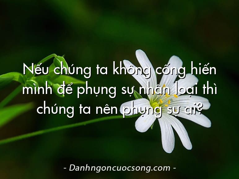 Nếu chúng ta không cống hiến mình để phụng sự nhân loại thì chúng ta nên phụng sự ai?