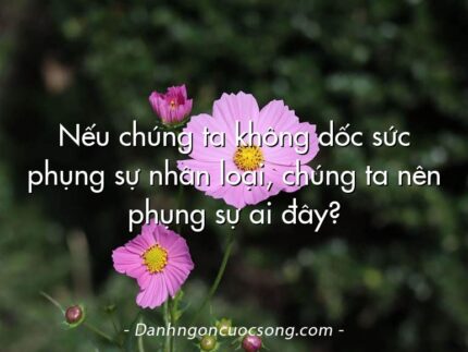 Nếu chúng ta không dốc sức phụng sự nhân loại, chúng ta nên phụng sự ai đây?