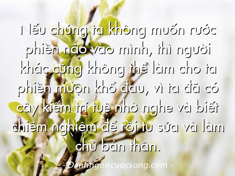 Nếu chúng ta không muốn rước phiền não vào mình, thì người khác cũng không thể làm cho ta phiền muộn khổ đau, vì ta đã có cây kiếm trí tuệ nhờ nghe và biết chiêm nghiệm để rồi tu sửa và làm chủ bản thân.