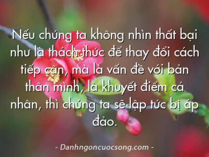 Nếu chúng ta không nhìn thất bại như là thách thức để thay đổi cách tiếp cận, mà là vấn đề với bản thân mình, là khuyết điểm cá nhân, thì chúng ta sẽ lập tức bị áp đảo.