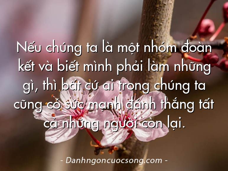 Nếu chúng ta là một nhóm đoàn kết và biết mình phải làm những gì, thì bất cứ ai trong chúng ta cũng có sức mạnh đánh thắng tất cả những người còn lại.