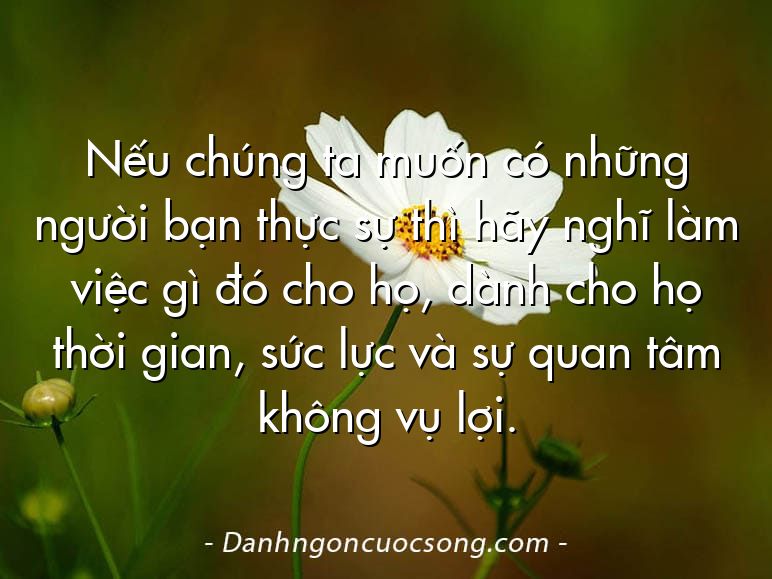 Nếu chúng ta muốn có những người bạn thực sự thì hãy nghĩ làm việc gì đó cho họ, dành cho họ thời gian, sức lực và sự quan tâm không vụ lợi.