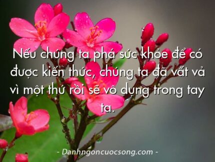 Nếu chúng ta phá sức khỏe để có được kiến thức, chúng ta đã vất vả vì một thứ rồi sẽ vô dụng trong tay ta.