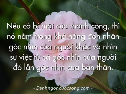 Nếu có bí mật của thành công, thì nó nằm trong khả năng đón nhận góc nhìn của người khác và nhìn sự việc từ cả góc nhìn của người đó lẫn góc nhìn của bản thân.