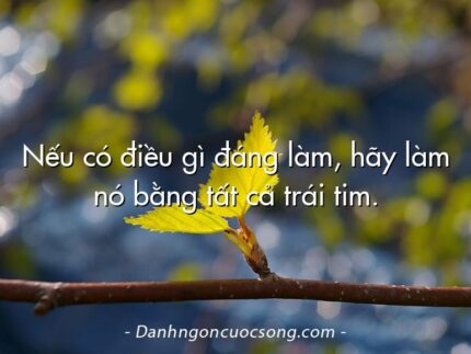 Nếu có điều gì đáng làm, hãy làm nó bằng tất cả trái tim.
