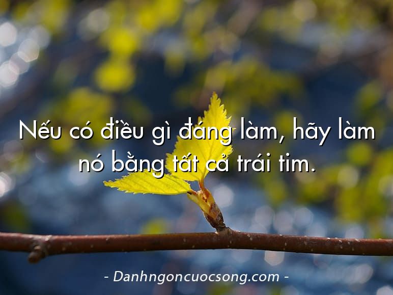 Nếu có điều gì đáng làm, hãy làm nó bằng tất cả trái tim.