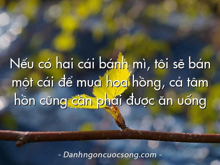 Nếu có hai cái bánh mì, tôi sẽ bán một cái để mua hoa hồng, cả tâm hồn cũng cần phải được ăn uống