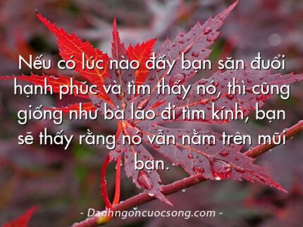 Nếu có lúc nào đấy bạn săn đuổi hạnh phúc và tìm thấy nó, thì cũng giống như bà lão đi tìm kính, bạn sẽ thấy rằng nó vẫn nằm trên mũi bạn.