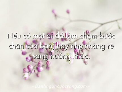 Nếu có một ai đó làm chậm bước chân của bạn, hãy nhẹ nhàng rẽ sang hướng khác.