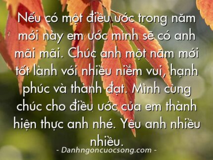 Nếu có một điều ước trong năm mới này em ước mình sẽ có anh mãi mãi. Chúc anh một năm mới tốt lành với nhiều niềm vui, hạnh phúc và thành đạt. Mình cùng chúc cho điều ước của em thành hiện thực anh nhé. Yêu anh nhiều nhiều.