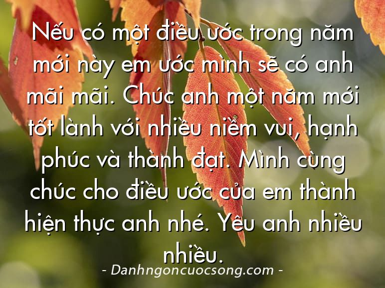 Nếu có một điều ước trong năm mới này em ước mình sẽ có anh mãi mãi. Chúc anh một năm mới tốt lành với nhiều niềm vui, hạnh phúc và thành đạt. Mình cùng chúc cho điều ước của em thành hiện thực anh nhé. Yêu anh nhiều nhiều.