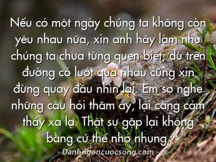Nếu có một ngày chúng ta không còn yêu nhau nữa, xin anh hãy làm như chúng ta chưa từng quen biết, dù trên đường có lướt qua nhau cũng xin đừng quay đầu nhìn lại. Em sợ nghe những câu hỏi thăm ấy, lại càng cảm thấy xa lạ. Thật sự gặp lại không bằng cứ thế nhớ nhung.