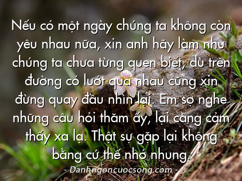 Nếu có một ngày chúng ta không còn yêu nhau nữa, xin anh hãy làm như chúng ta chưa từng quen biết, dù trên đường có lướt qua nhau cũng xin đừng quay đầu nhìn lại. Em sợ nghe những câu hỏi thăm ấy, lại càng cảm thấy xa lạ. Thật sự gặp lại không bằng cứ thế nhớ nhung.