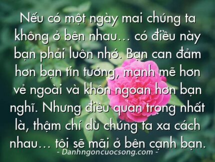 Nếu có một ngày mai chúng ta không ở bên nhau… có điều này bạn phải luôn nhớ. Bạn can đảm hơn bạn tin tưởng, mạnh mẽ hơn vẻ ngoài và khôn ngoan hơn bạn nghĩ. Nhưng điều quan trọng nhất là, thậm chí dù chúng ta xa cách nhau… tôi sẽ mãi ở bên cạnh bạn.