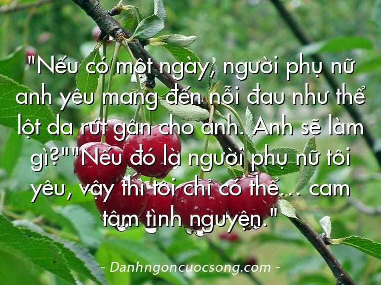 "Nếu có một ngày, người phụ nữ anh yêu mang đến nỗi đau như thể lột da rút gân cho anh. Anh sẽ làm gì?""Nếu đó là người phụ nữ tôi yêu, vậy thì tôi chỉ có thể… cam tâm tình nguyện."