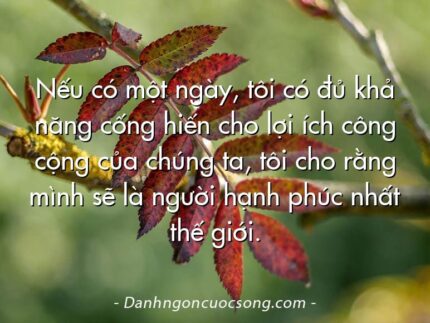 Nếu có một ngày, tôi có đủ khả năng cống hiến cho lợi ích công cộng của chúng ta, tôi cho rằng mình sẽ là người hạnh phúc nhất thế giới.