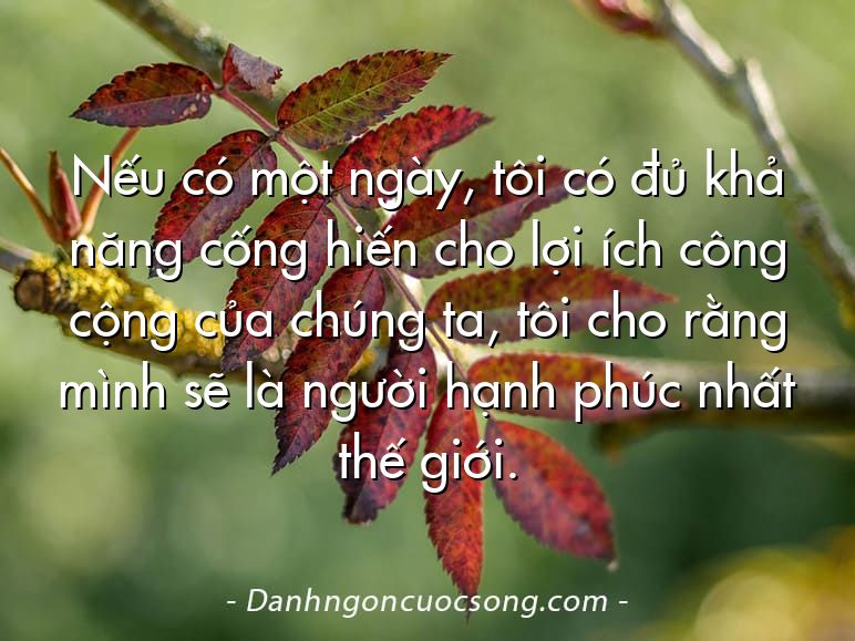 Nếu có một ngày, tôi có đủ khả năng cống hiến cho lợi ích công cộng của chúng ta, tôi cho rằng mình sẽ là người hạnh phúc nhất thế giới.