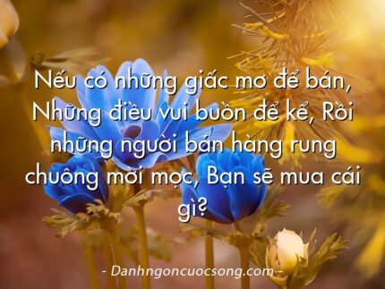 Nếu có những giấc mơ để bán, Những điều vui buồn để kể, Rồi những người bán hàng rung chuông mời mọc, Bạn sẽ mua cái gì?
