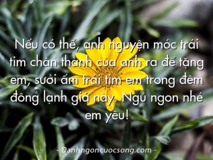 Nếu có thể, anh nguyện móc trái tim chân thành của anh ra để tặng em, sưởi ấm trái tim em trong đêm đông lạnh giá này. Ngủ ngon nhé em yêu!