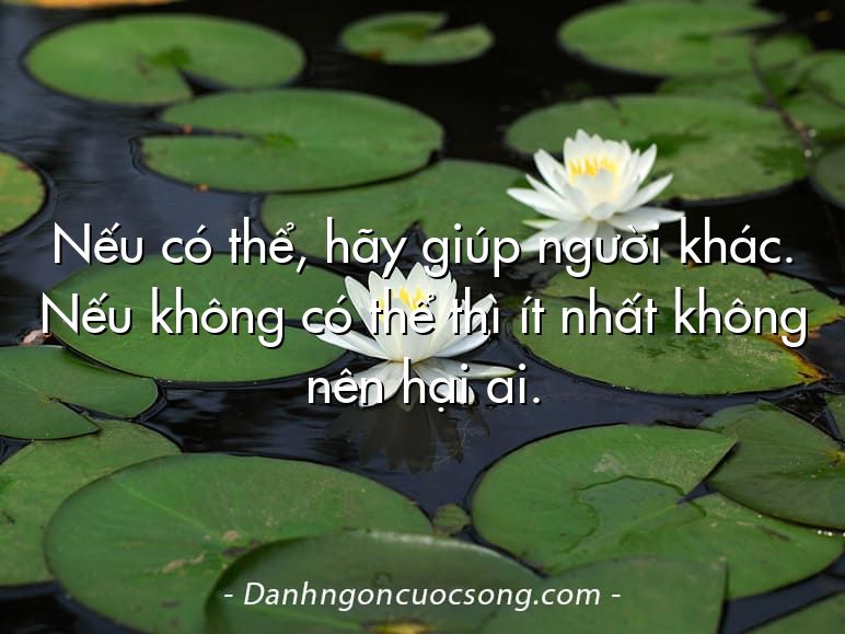 Nếu có thể, hãy giúp người khác. Nếu không có thể thì ít nhất không nên hại ai.