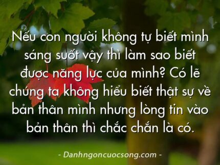 Nếu con người không tự biết mình sáng suốt vậy thì làm sao biết được năng lực của mình? Có lẽ chúng ta không hiểu biết thật sự về bản thân mình nhưng lòng tin vào bản thân thì chắc chắn là có.