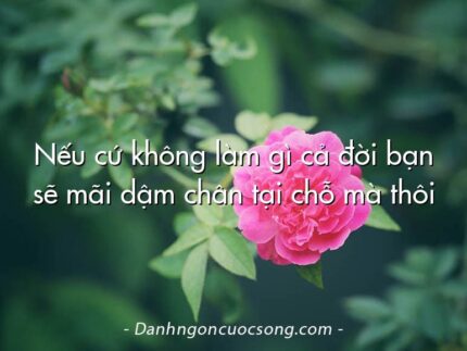 Nếu cứ không làm gì cả đời bạn sẽ mãi dậm chân tại chỗ mà thôi
