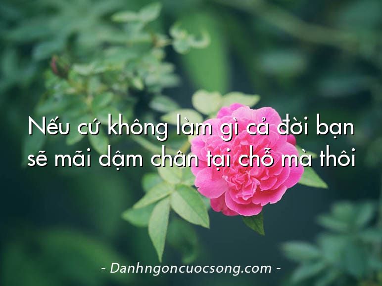 Nếu cứ không làm gì cả đời bạn sẽ mãi dậm chân tại chỗ mà thôi