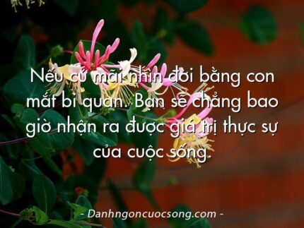 Nếu cứ mãi nhìn đời bằng con mắt bi quan. Bạn sẽ chẳng bao giờ nhận ra được giá trị thực sự của cuộc sống.