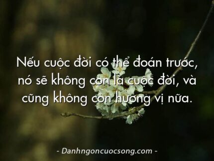 Nếu cuộc đời có thể đoán trước, nó sẽ không còn là cuộc đời, và cũng không còn hương vị nữa.