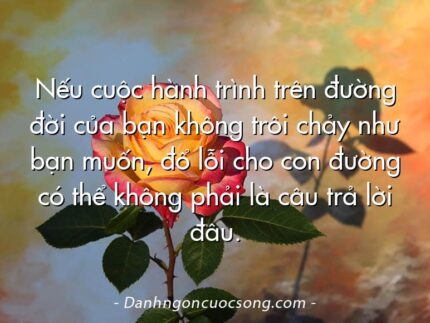 Nếu cuộc hành trình trên đường đời của bạn không trôi chảy như bạn muốn, đổ lỗi cho con đường có thể không phải là câu trả lời đâu.