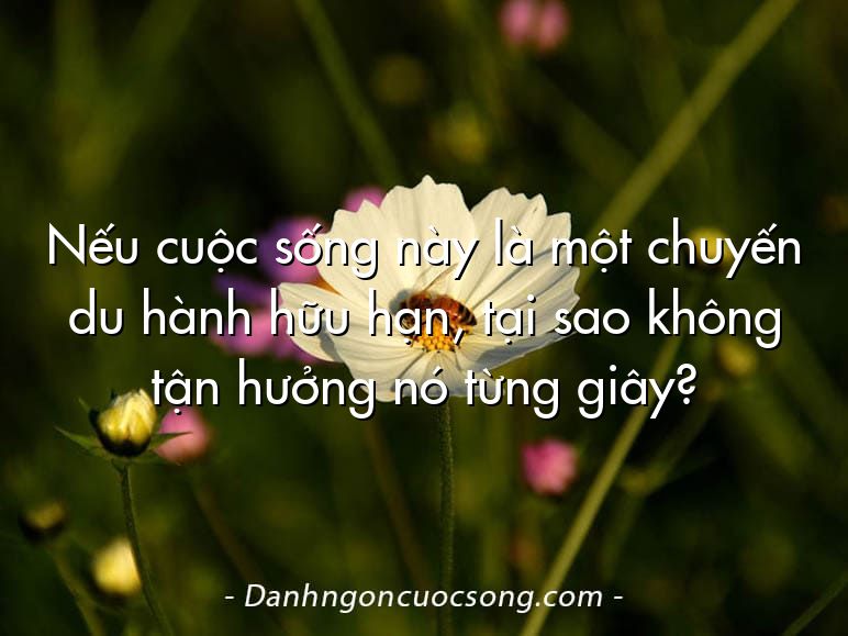 Nếu cuộc sống này là một chuyến du hành hữu hạn, tại sao không tận hưởng nó từng giây?
