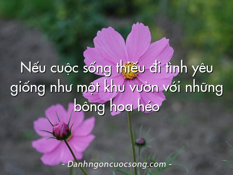 Nếu cuộc sống thiếu đi tình yêu giống như một khu vườn với những bông hoa héo