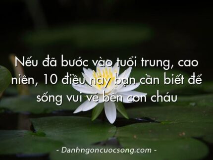 Nếu đã bước vào tuổi trung, cao niên, 10 điều này bạn cần biết để sống vui vẻ bên con cháu
