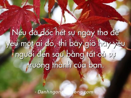 Nếu đã dốc hết sự ngây thơ để yêu một ai đó, thì bây giờ hãy yêu người đến sau bằng tất cả sự trưởng thành của bạn.