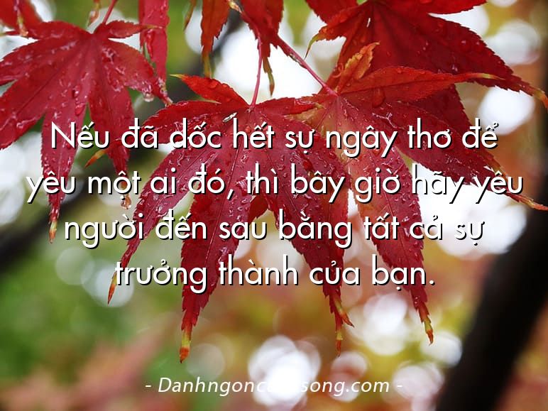 Nếu đã dốc hết sự ngây thơ để yêu một ai đó, thì bây giờ hãy yêu người đến sau bằng tất cả sự trưởng thành của bạn.