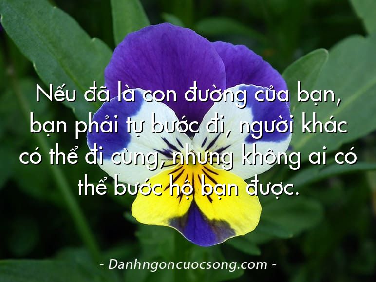 Nếu đã là con đường của bạn, bạn phải tự bước đi, người khác có thể đi cùng, nhưng không ai có thể bước hộ bạn được.